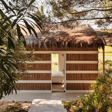 Flor De Arroz Villa Carvalhal  Ngoại thất bức ảnh